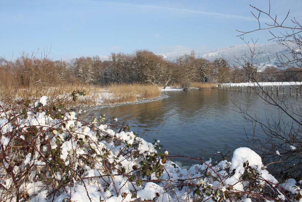 Winterstimmung See Hoerbranz 2013 _29__jpg-1358535568