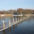 Winterstimmung See Hoerbranz 2013 _1__jpg-1358535382