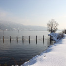 Winterstimmung See Hoerbranz 2013 _30__jpg-1358535572