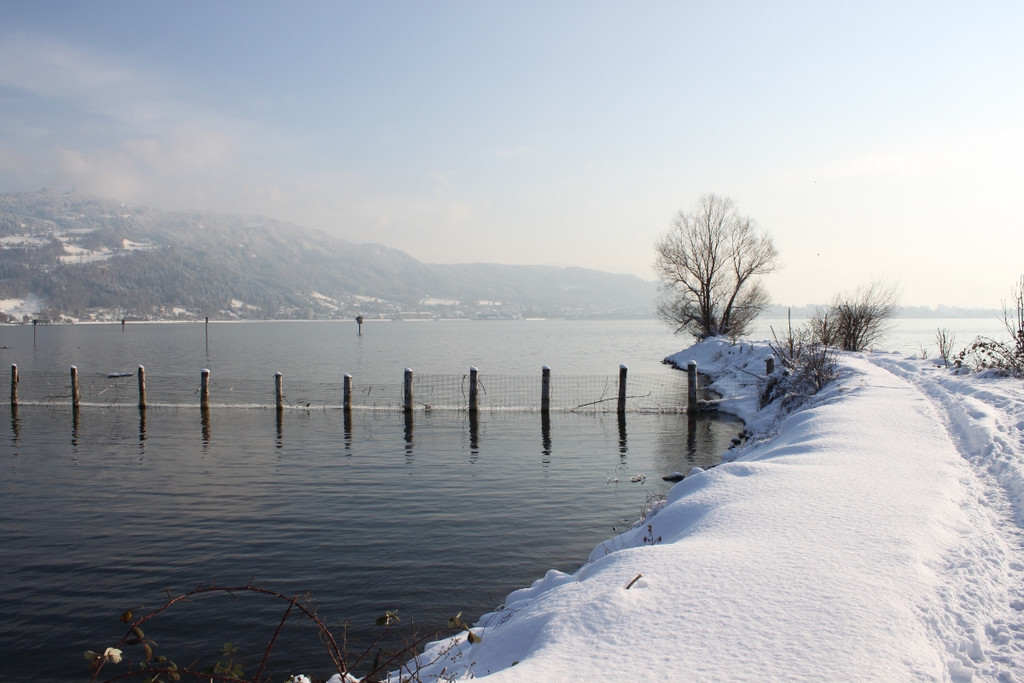 Winterstimmung See Hoerbranz 2013 _30__jpg-1358535572