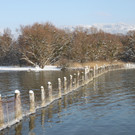 Winterstimmung See Hoerbranz 2013 _2__jpg-1358535388