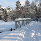 Winterstimmung See Hoerbranz 2013 _7__jpg-1358535420
