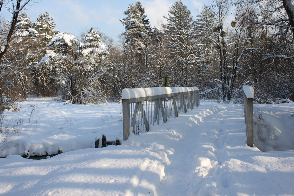 Winterstimmung See Hoerbranz 2013 _7__jpg-1358535420