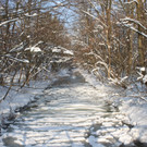 Winterstimmung See Hoerbranz 2013 _10__jpg-1358535442