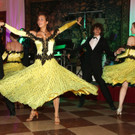 OeVP_Ball20130118048.jpg