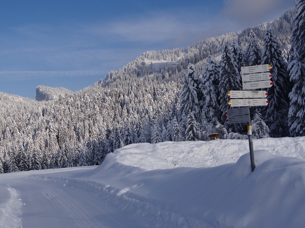 DSC01433_JPG-1358602101