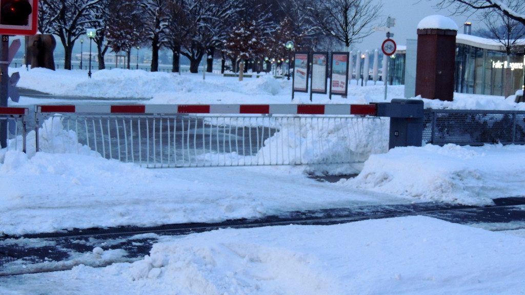 DSCN4611_JPG-1358621171