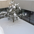 DSCN4466_JPG-1358634165