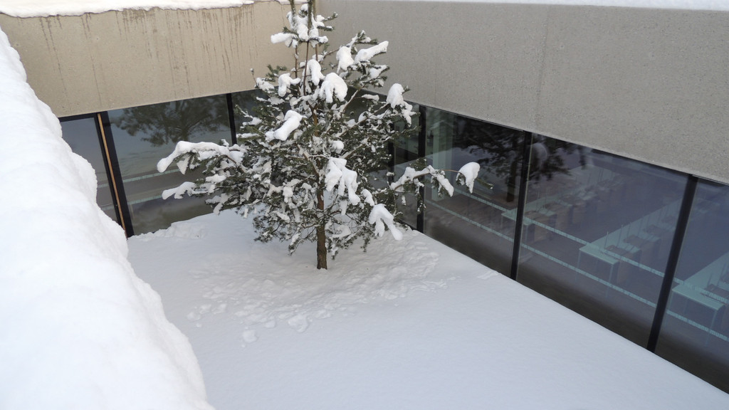 DSCN4466_JPG-1358634165