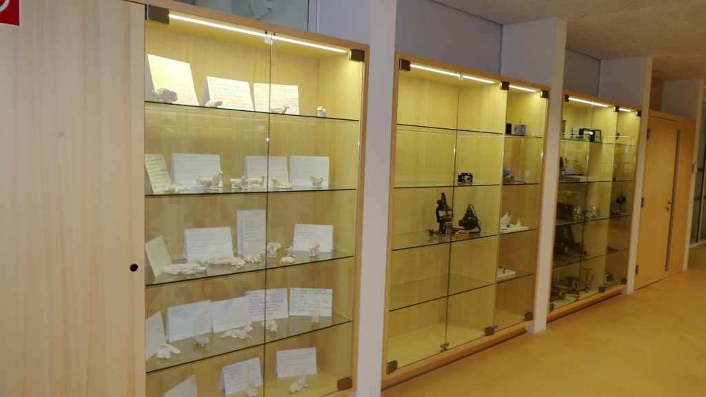 DSCN4474_JPG-1358634184