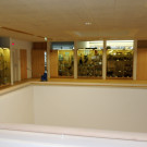 DSCN4476_JPG-1358634188