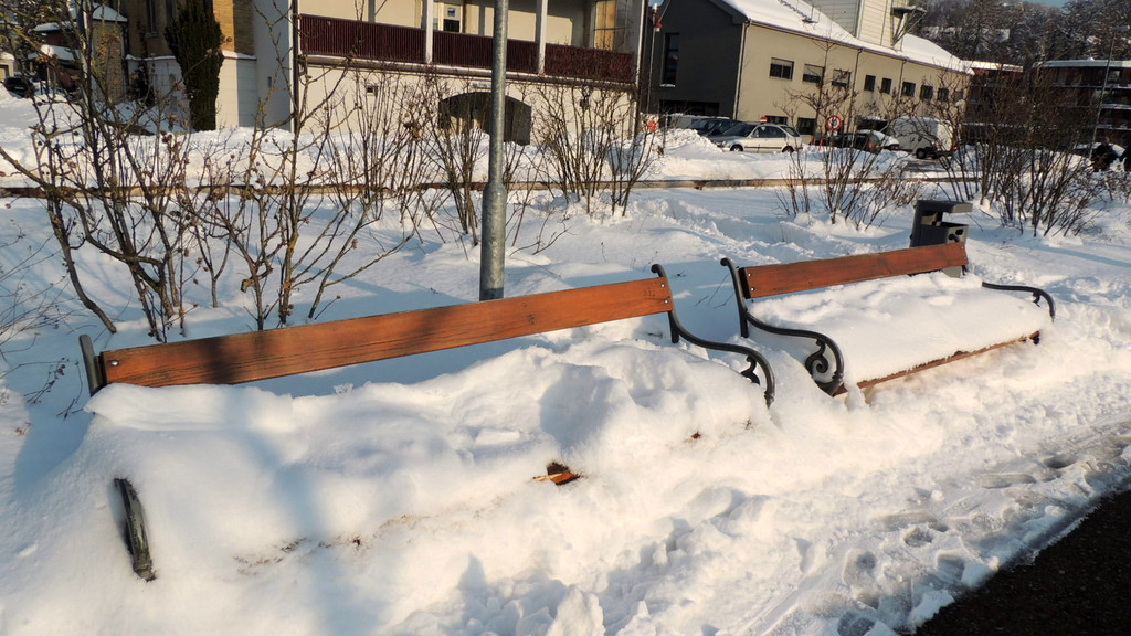 DSCN4218_JPG-1358635318