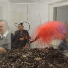 DSCN4063_JPG-1358635790