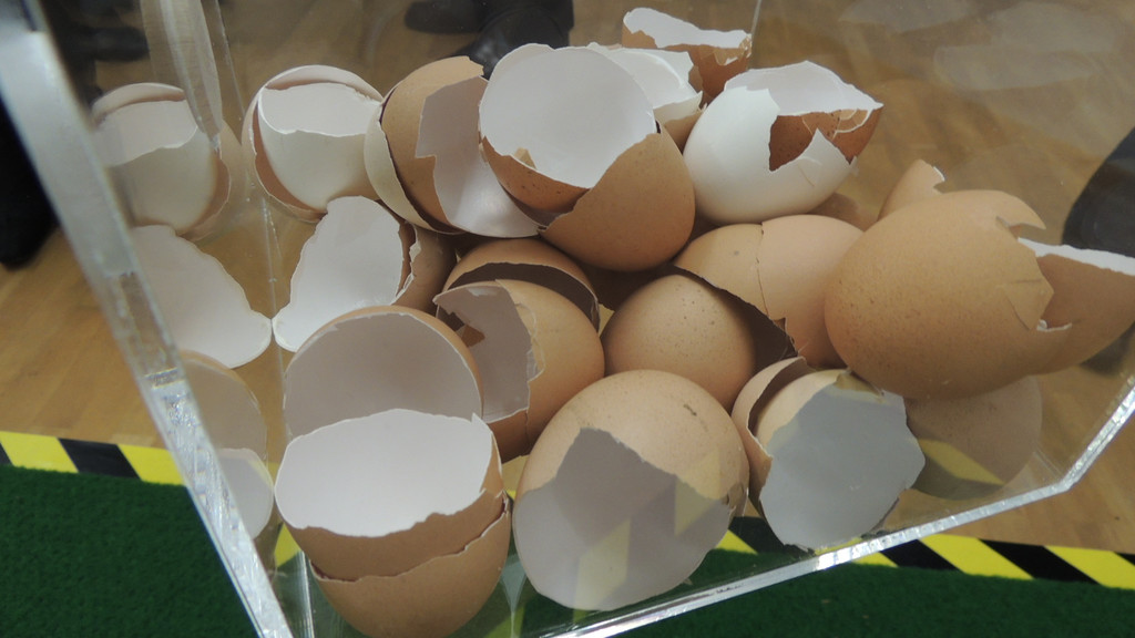 DSCN4065_JPG-1358635794