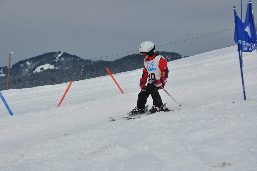 DSC_0008_JPG-1358633838