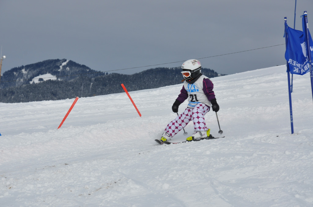 DSC_0011_JPG-1358633899