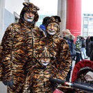 DSC_0287_JPG-1358636451