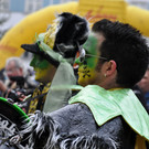 DSC_0342_JPG-1358637026