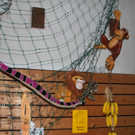 BK_Nofler_Kinderfasching_2013 49_jpg-1358710854