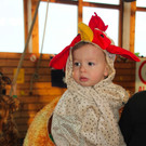 BK_Nofler_Kinderfasching_2013 74_jpg-1358711085