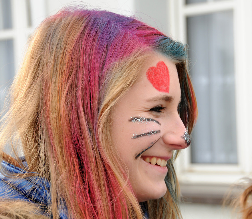 Fasching Fu__ach 20-01-2013 51_jpg-1358718513
