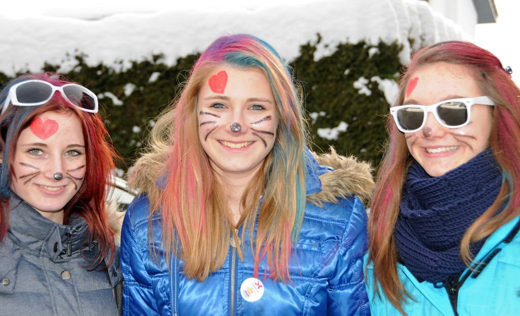 Fasching Fu__ach 20-01-2013 53_jpg-1358718522