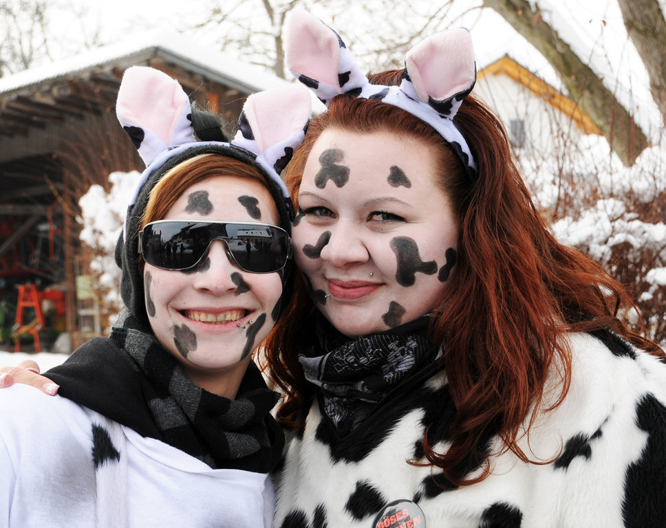 Fasching Fu__ach 20-01-2013 55_jpg-1358718535