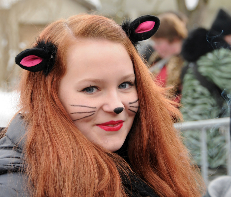 Fasching Fu__ach 20-01-2013 67_jpg-1358718569