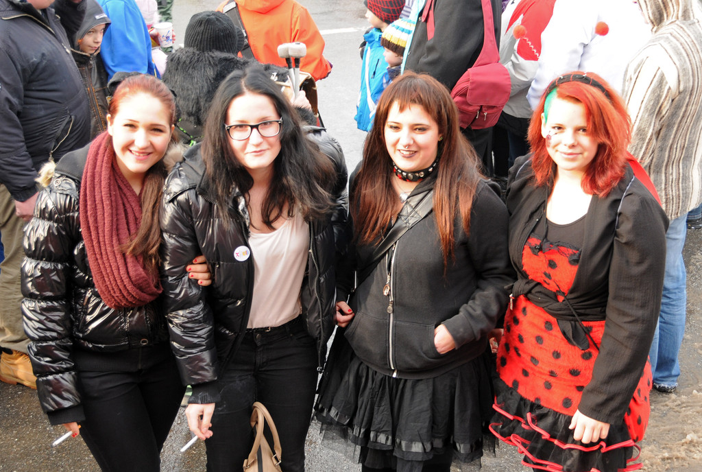 Fasching Fu__ach 20-01-2013 71_jpg-1358718578