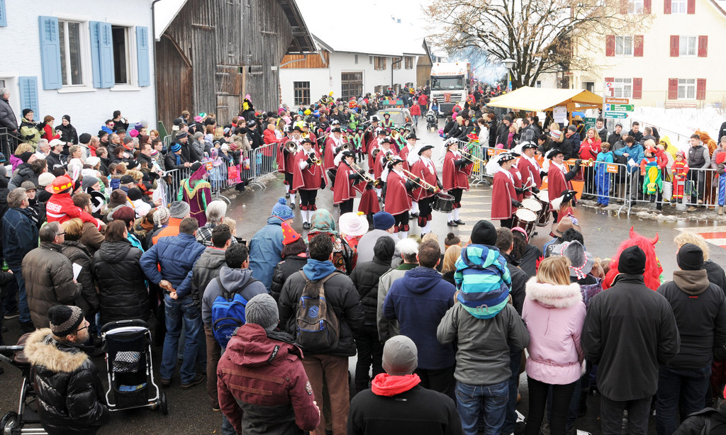 Fasching Fu__ach 20-01-2013 77_jpg-1358718599