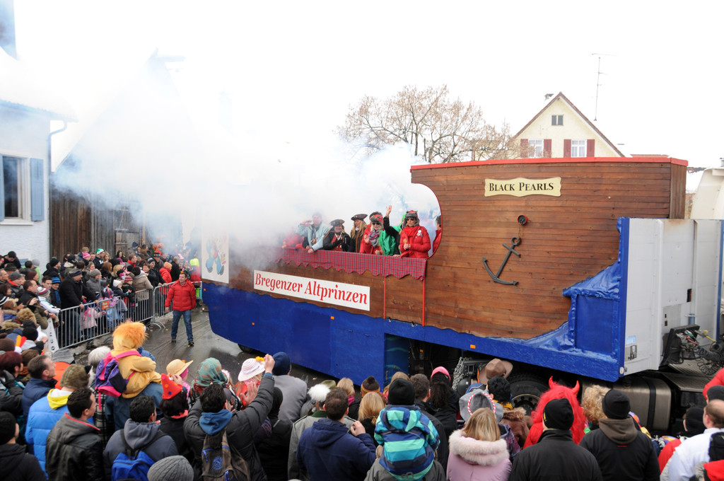Fasching Fu__ach 20-01-2013 84_jpg-1358718612