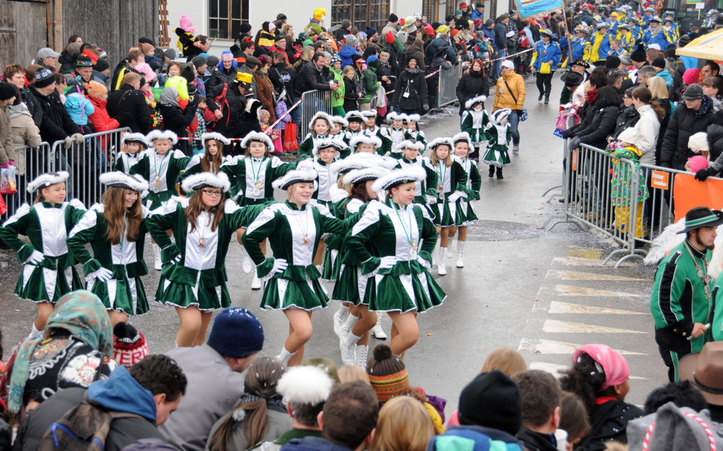 Fasching Fu__ach 20-01-2013 119_jpg-1358718712