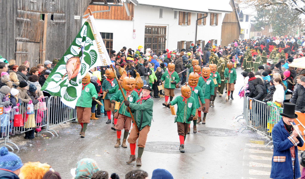 Fasching Fu__ach 20-01-2013 131_jpg-1358718730
