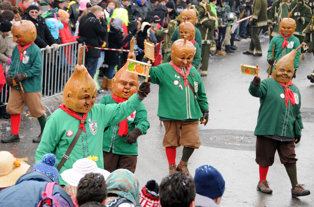 Fasching Fu__ach 20-01-2013 136_jpg-1358718739