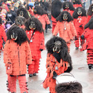 Fasching Fu__ach 20-01-2013 143_jpg-1358718769