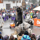 Fasching Fu__ach 20-01-2013 167_jpg-1358718854