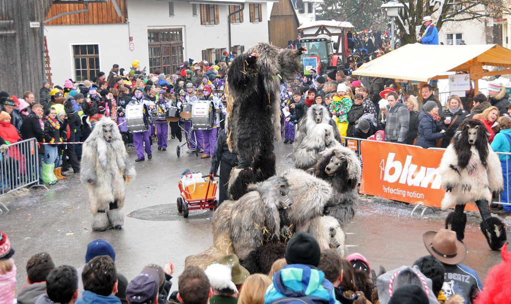 Fasching Fu__ach 20-01-2013 167_jpg-1358718854