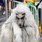 Fasching Fu__ach 20-01-2013 169_jpg-1358718861