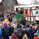 Fasching Fu__ach 20-01-2013 170_jpg-1358718871