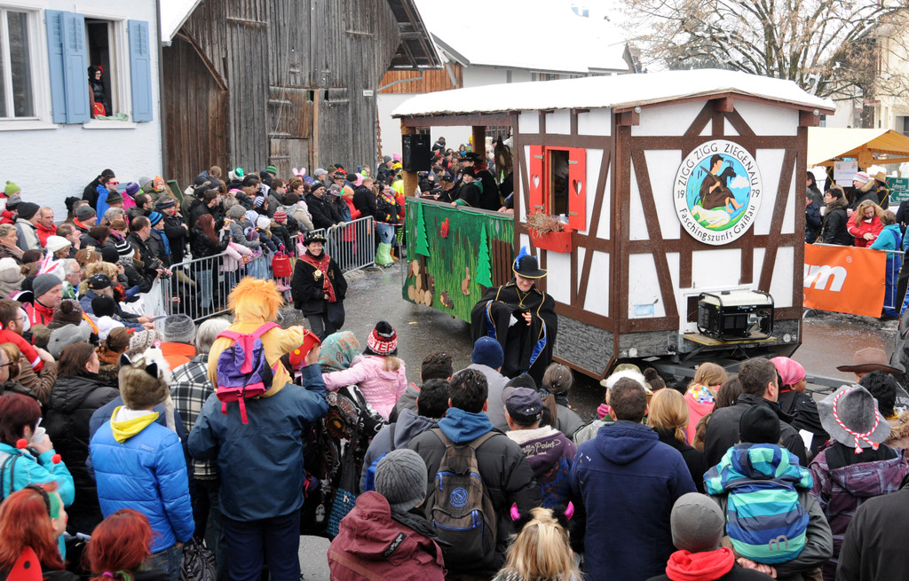 Fasching Fu__ach 20-01-2013 170_jpg-1358718871