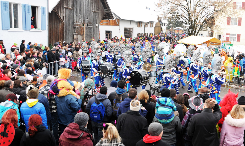 Fasching Fu__ach 20-01-2013 177_jpg-1358718901