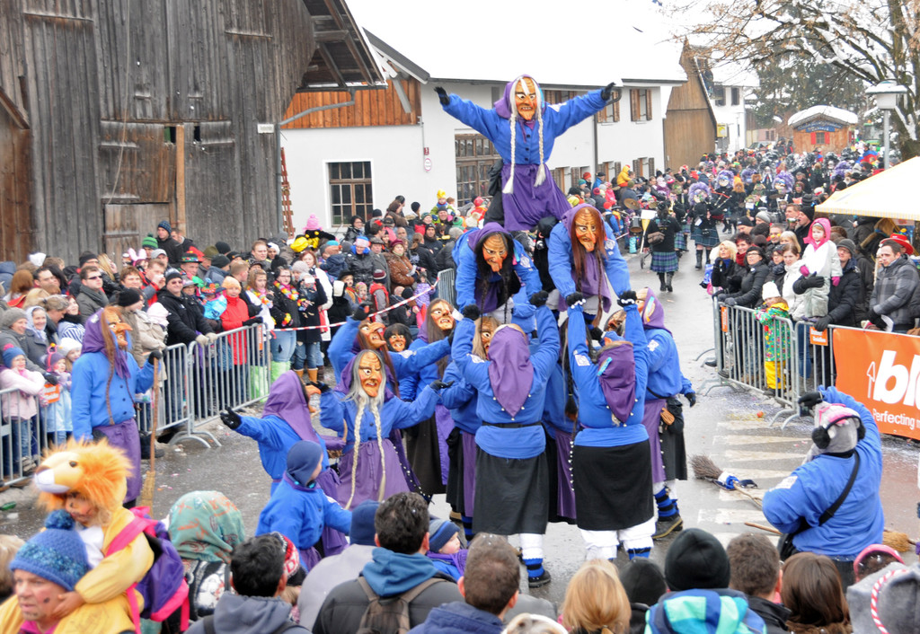 Fasching Fu__ach 20-01-2013 180_jpg-1358718911