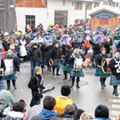 Fasching Fu__ach 20-01-2013 191_jpg-1358718952
