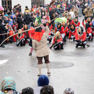 Fasching Fu__ach 20-01-2013 194_jpg-1358718971