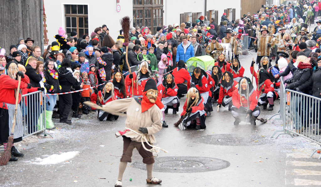 Fasching Fu__ach 20-01-2013 196_jpg-1358718982