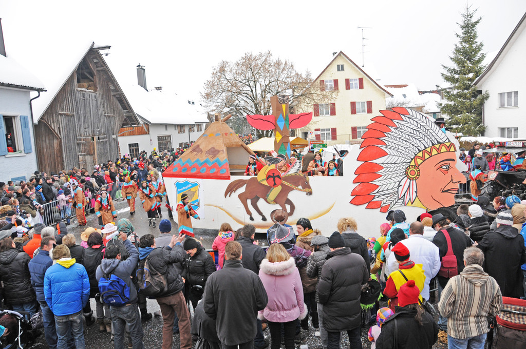 Fasching Fu__ach 20-01-2013 208_jpg-1358719002