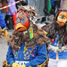 Fasching Fu__ach 20-01-2013 239_jpg-1358719100
