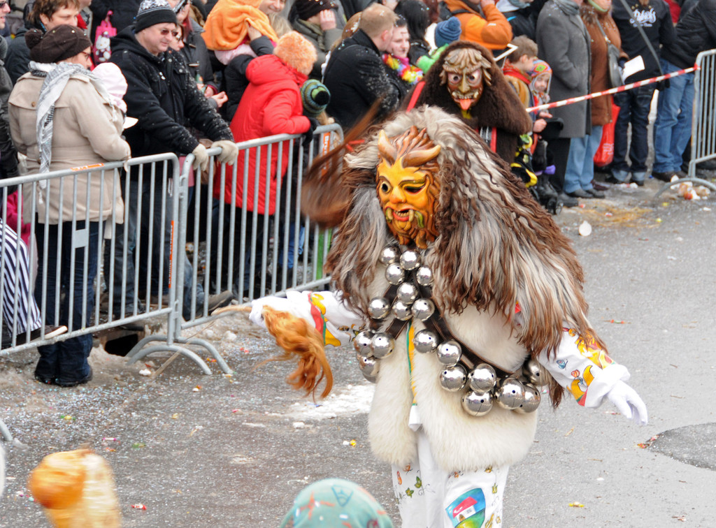 Fasching Fu__ach 20-01-2013 251_jpg-1358719132