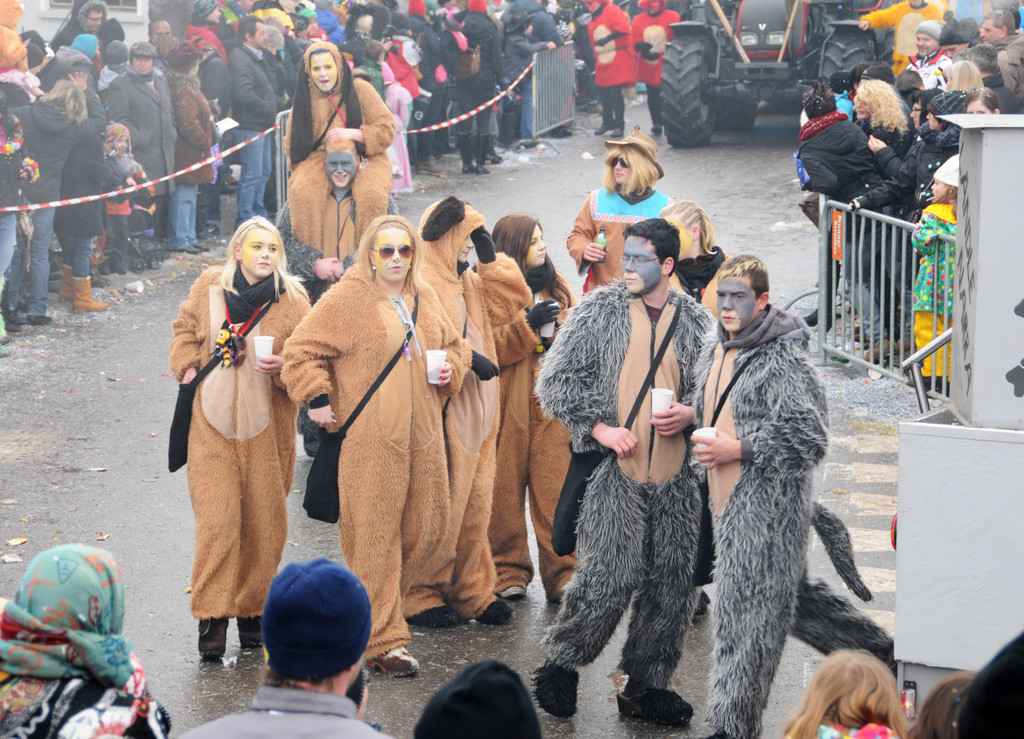 Fasching Fu__ach 20-01-2013 263_jpg-1358719157