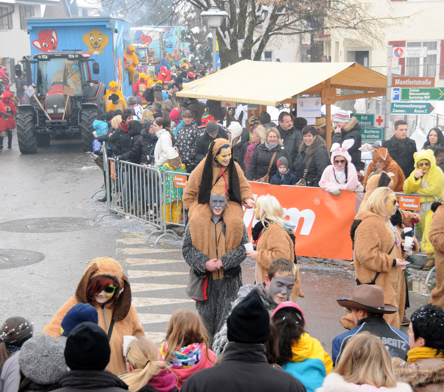 Fasching Fu__ach 20-01-2013 265_jpg-1358719165